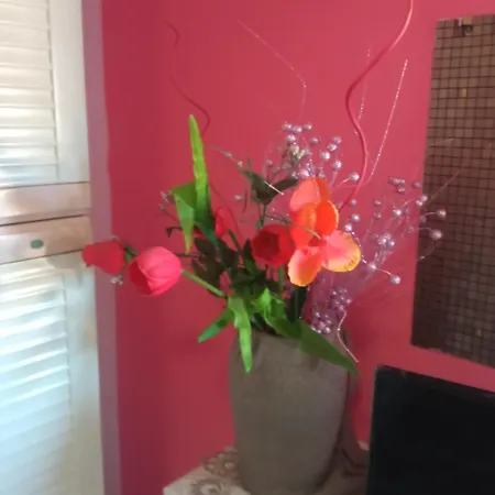 Couette-café Cleopatra Scalea