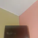 Cleopatra Nocleg ze śniadaniem *